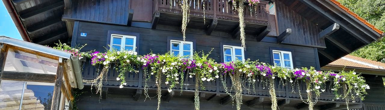 Schatzbergalm Update